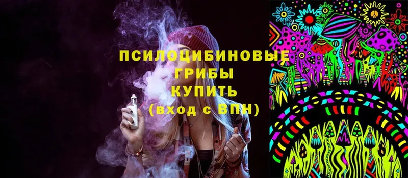 Псилоцибиновые грибы Psilocybe  Духовщина 